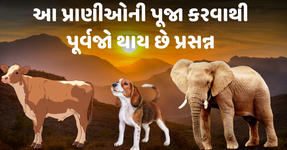 શ્રાદ્ધ પક્ષમાં આ પ્રાણીઓની પૂજા કરવાથી પૂર્વજો પ્રસન્ન થાય છે. જાણો કયા છે પ્રાણી ?