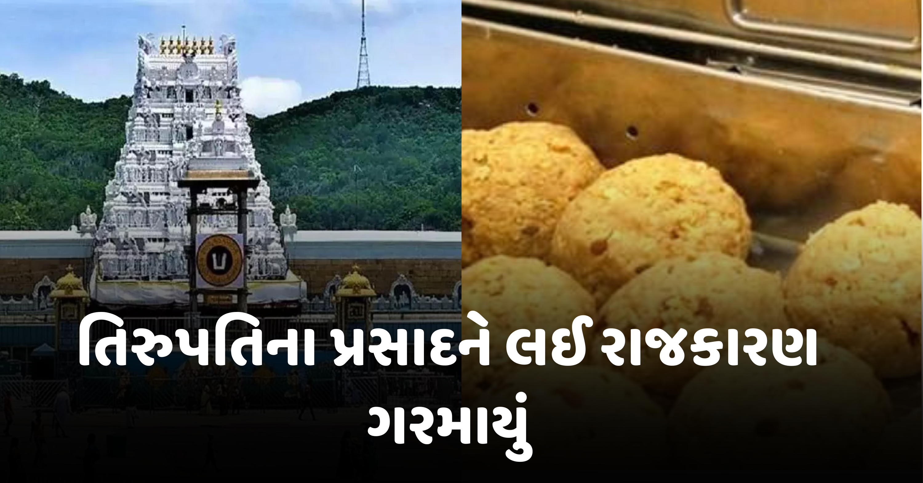 તિરુપતિ મંદિરના પ્રસાદમાં ઘીના સ્થાને જાનવરોની ચરબી અને ફિશ ઓઇલના ઉપયોગની પુષ્ટિ બાદ વિવાદ