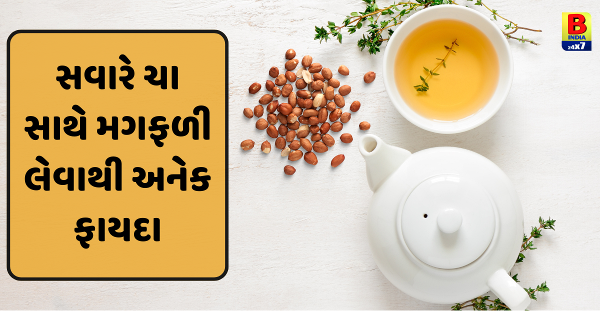 Health Tips : સવારે ચા સાથે નાસ્તામાં મગફળીને લેવાથી શું ફાયદા થશે જાણો.