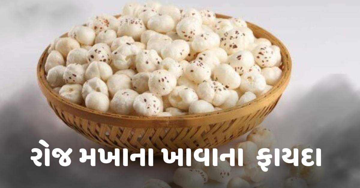 Makhana Benefits : રોજ મખાના ખાવાથી થશે અનેક ફાયદા,બ્લડપ્રેશર પણ કંટ્રોલ