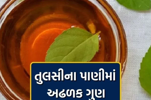 સવારે ઉઠતાની સાથે જ ચાને બદલે તુલસીનું પાણી પીવો, તમને એટલા બધા ફાયદા થશે