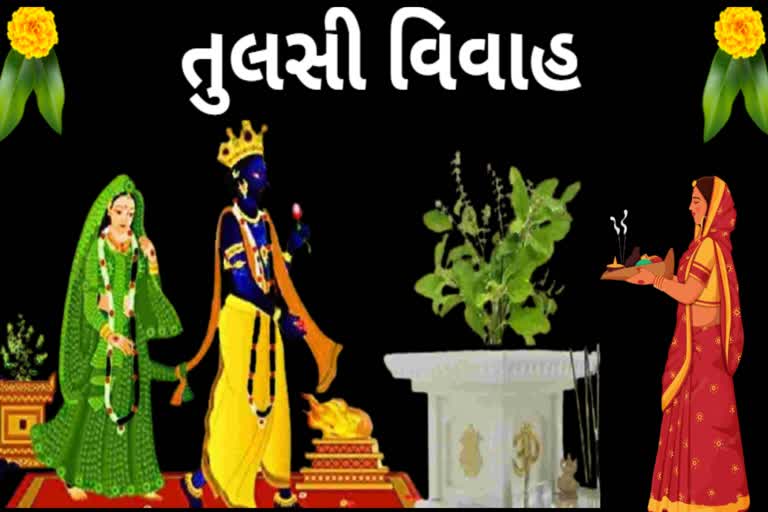 Tulsi Vivah :તુલસી વિવાહ પર કરો તુલસી સંબંધિત આ ઉપાયો, દૂર થશે આર્થિક સંકટ, વરસશે દેવી લક્ષ્મીની કૃપા.